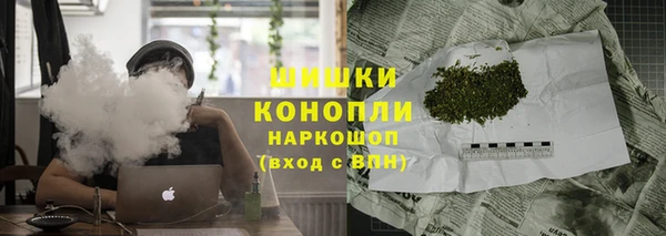 PSILOCYBIN Балахна