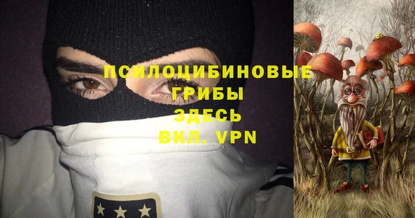 PSILOCYBIN Балахна