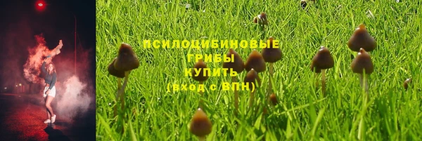 PSILOCYBIN Балахна