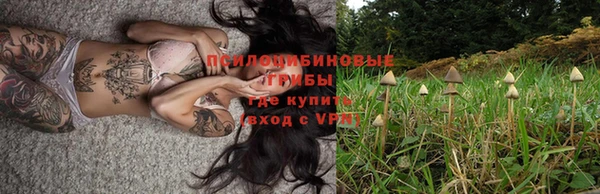 MESCALINE Баксан