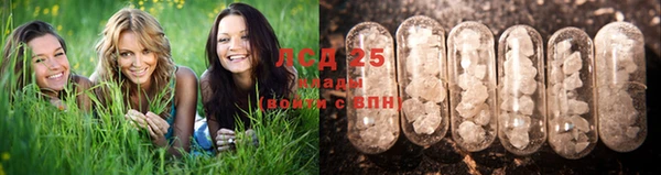 PSILOCYBIN Балахна