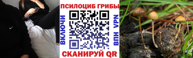 Галлюциногенные грибы мицелий  Кодинск 