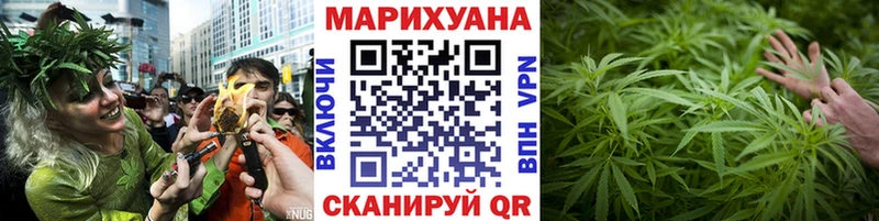 Бошки Шишки семена  как найти наркотики  Кодинск 